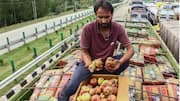 Kashmir apple farmers suffer ₹1,000cr loss due to highway closure 