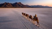 Explore Africa's vast salt flats on a camel caravan