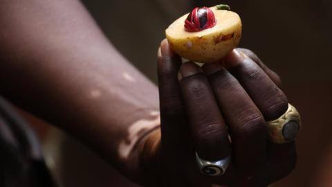5 health benefits of nutmeg you must know about 5 health benefits of nutmeg you must know about
