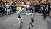 Boxing and backflipping robots dominate at China's top AI event