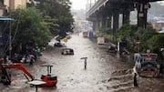 'We encroach, clog drains': Bombay HC says waterlogging 'our creation'