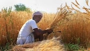 Union Budget 2026: Agriculture culture gets ₹1.62 trillion allocation
