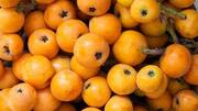5 amazing health benefits of loquat