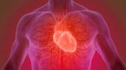 Why heart cancer is so rare compared to other types