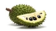 Soursop: An exotic fruit full of goodness 