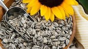 How to add sunflower seeds to your daily breakfast