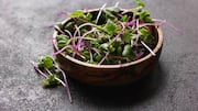 Why you should add microgreens to your diet