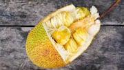 Meet cempedak, the tropical cousin of jackfruit
