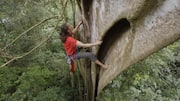 Tree climbing: A fun way to stay fit