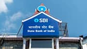 China's rare earths ban could impact Indian industries, banks: SBI