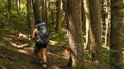 Why you should hike uneven forest trails more