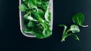 How to keep leafy greens fresh while traveling