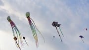 The magic of China's kite flying festivals