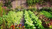 Tired of unkempt gardens? Simple tips to keep them clean Tired of unkempt gardens? Simple tips to keep them clean