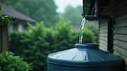 5 eco-friendly swaps for a more sustainable life 