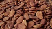 Tarwi beans: The nutty snack packed with protein