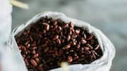 5 reasons raw cacao is the superfood you need
