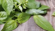 Why you should combine basil and cloves in your drinks 