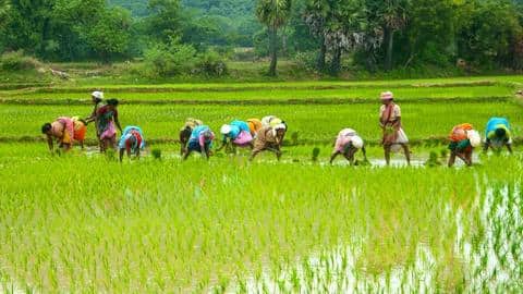 Man dupes 64 farmers of crop proceeds worth Rs. 3.5cr Man dupes 64 farmers of crop proceeds worth Rs. 3.5cr