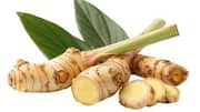 Galangal root: Nutrition, culinary uses, and more
