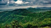 Western Ghats could become India's major carbon sink by century-end 