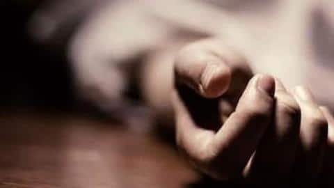 Shimla: Eight dead, 11 hurt as bus falls into gorge Shimla: Eight dead, 11 hurt as bus falls into gorge