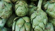 The secret to growing Jerusalem artichokes indoors