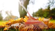 Leaf raking: What it is exactly