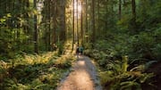 Explore Ghana's tropical forests on these scenic hiking trails 