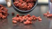 5 ways you can include goji berries in your diet