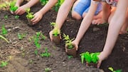 Fun DIY projects to teach kids teamwork and gardening