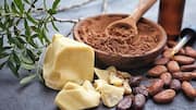 Cocoa butter in skincare: Benefits and uses  