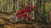 Meet Desmo450 EDS, Ducati's 1st street-legal off-road bike