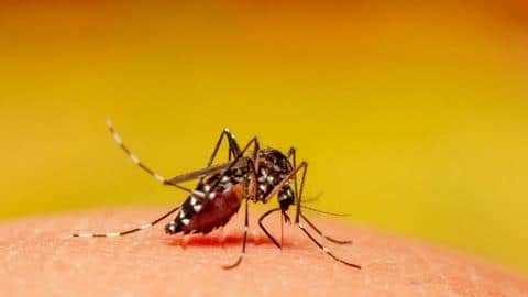 UP orders extensive cleanliness campaign after suspected dengue deaths UP orders extensive cleanliness campaign after suspected dengue deaths