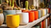 How to use ceramic mugs in home decor