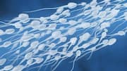 This scientific breakthrough is a solution for male infertility