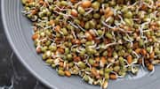Lentil sprouts: The healthy addition every meal needs