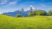 Add these alpine meadows to your Swiss itinerary 