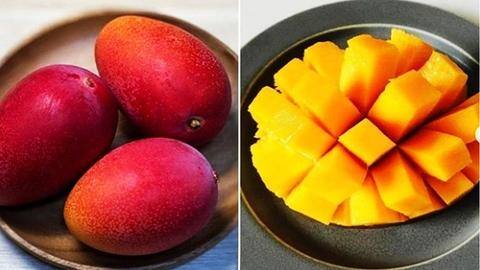 All about Miyazaki, the costliest variety of mango All about Miyazaki, the costliest variety of mango
