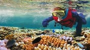 Where to go for snorkeling in Tanzania