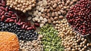 Upgrade your meals with these nutritious beans