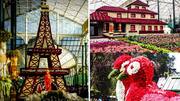 5 annual flower shows in India too gorgeous to miss