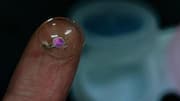 Koreans develop world's first OLED contact lens for eye diagnostics