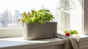 What are self-watering planters?