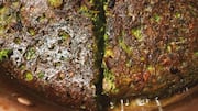 Handvo: A classic Gujarati recipe with rich history