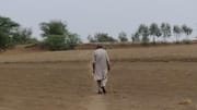 Water crisis in Maharashtra: 265 of 358 talukas declared drought-affected