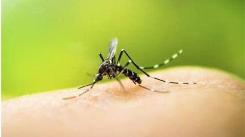 Five more people test positive for Zika virus in Kerala Five more people test positive for Zika virus in Kerala