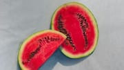 Watermelon seeds v/s chia seeds: Which is healthier?