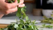 Make your meals nutritious by adding purslane
