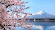 Meditation in Japan: 5 peaceful islands to explore